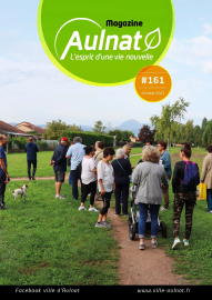 AULNAT MAG 161 