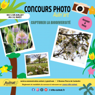 [ CONCOURS PHOTO AULN'ART ] 