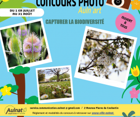 [ CONCOURS PHOTO AULN'ART ] 