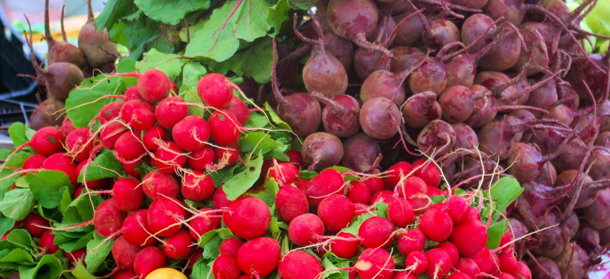 Marché des producteurs locaux samedi 12 septembre