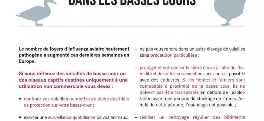 [ RENFORCEMENT DES MESURES DE BIOSÉCURITÉ ]